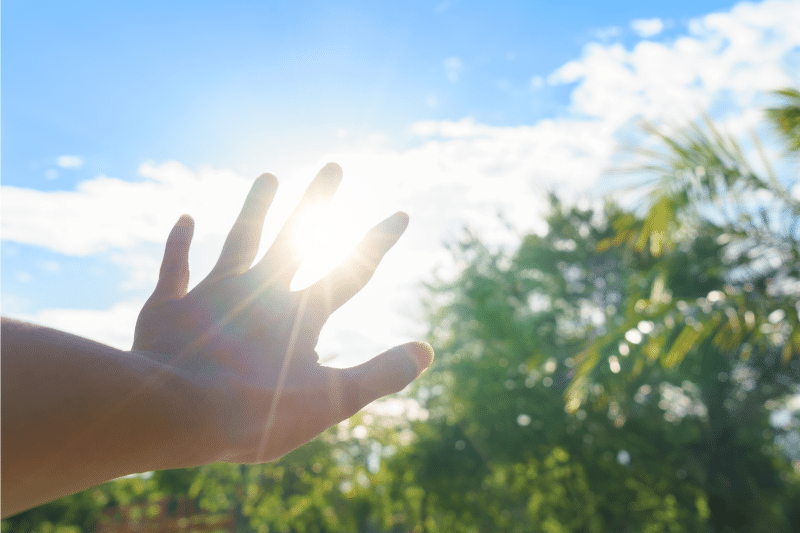 hand raised to the summer sun