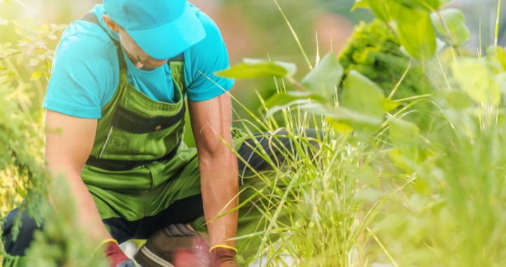 man doing seasonal farm work
